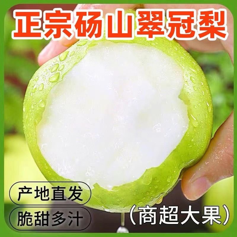 正宗砀山青皮翠冠梨薄皮脆甜多汁新鲜当季水果现摘
