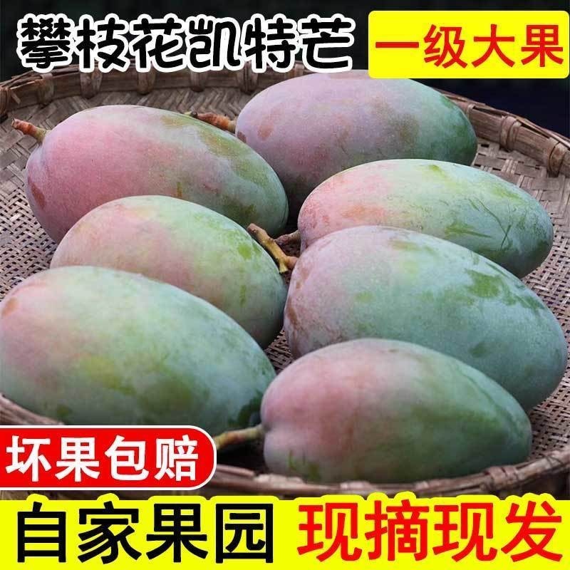 攀枝花产地直发凯特芒果一级大果爆甜多汁包邮