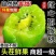 正宗绿心猕猴桃奇异果批发应季孕妇新鲜水果整箱爆甜