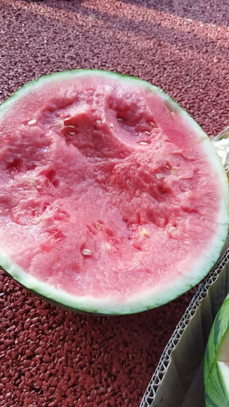 精品无籽美都麒麟西瓜产地直发品质保证量大从优一手
