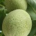 山核桃