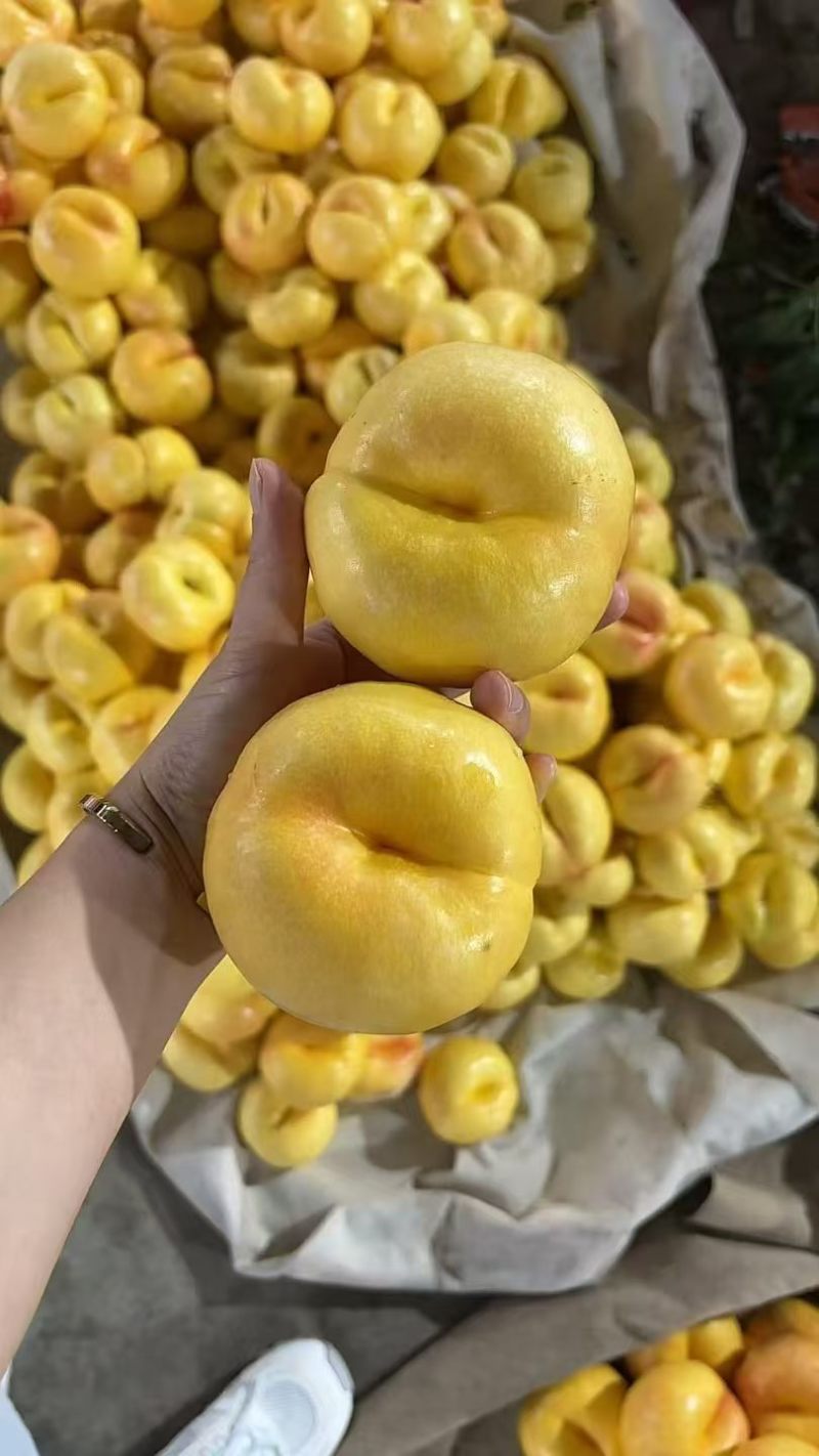蒙阴蜜桃
