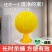 粘虫子粘飞虫球果蝇苍蝇超市粘虫球水果店家用无毒小飞虫诱捕