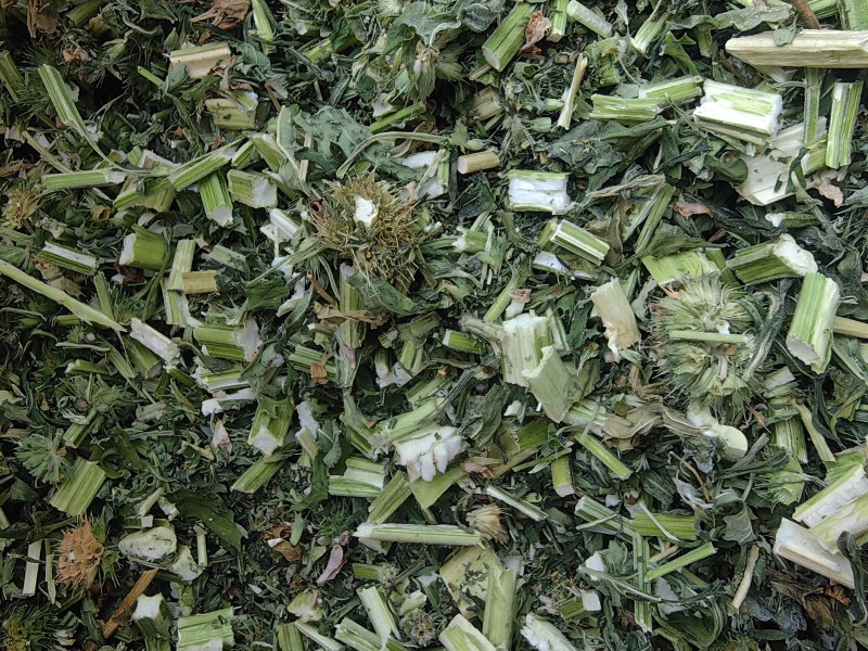 益母草干活四吨左右
