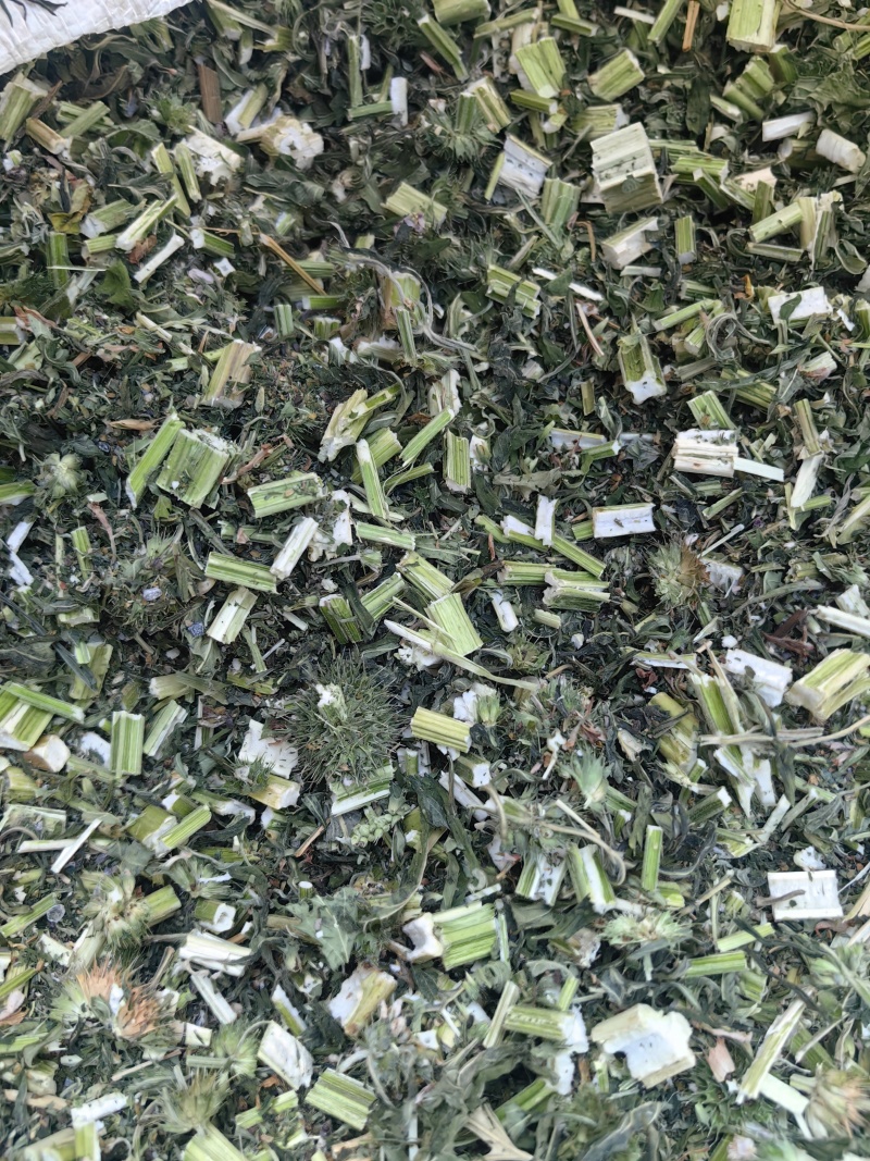 益母草干活四吨左右