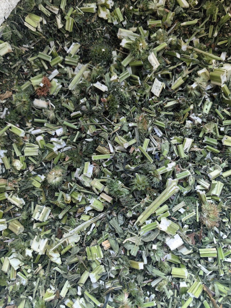 益母草干活四吨左右