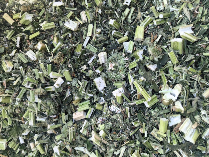 益母草干活四吨左右