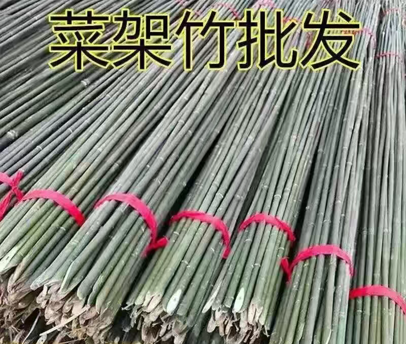 江西山竹