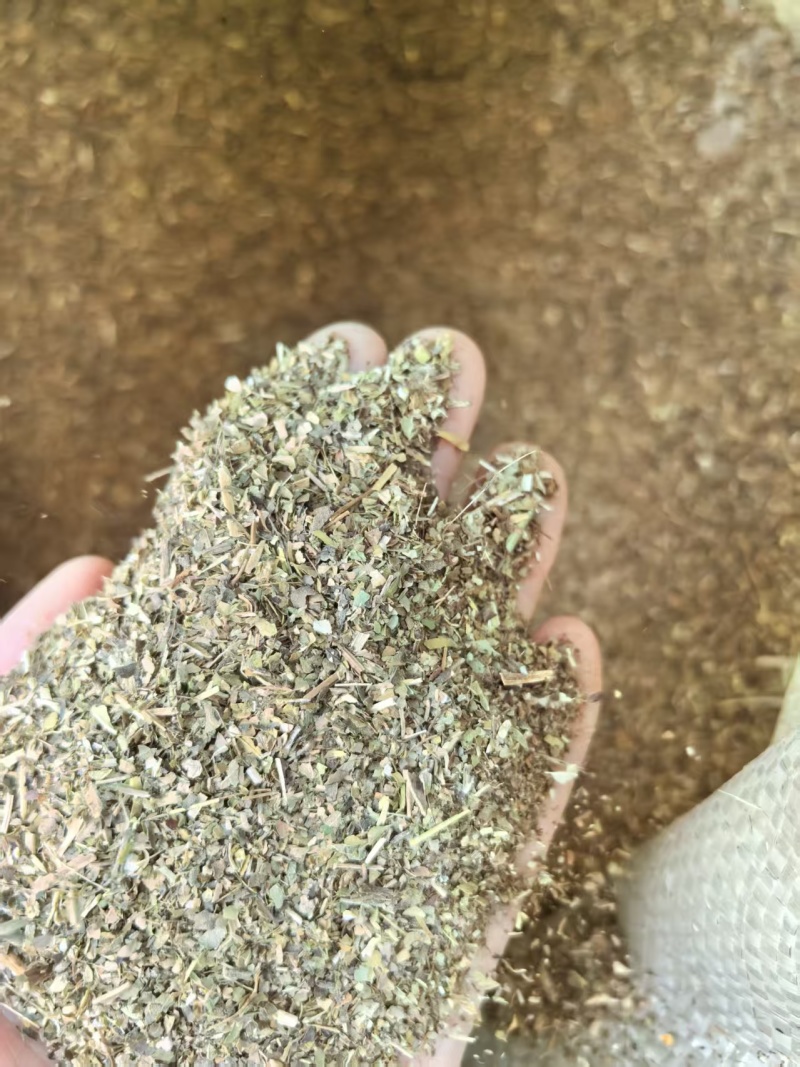 优质花生秧饲养原料