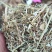 优质花生秧饲养原料