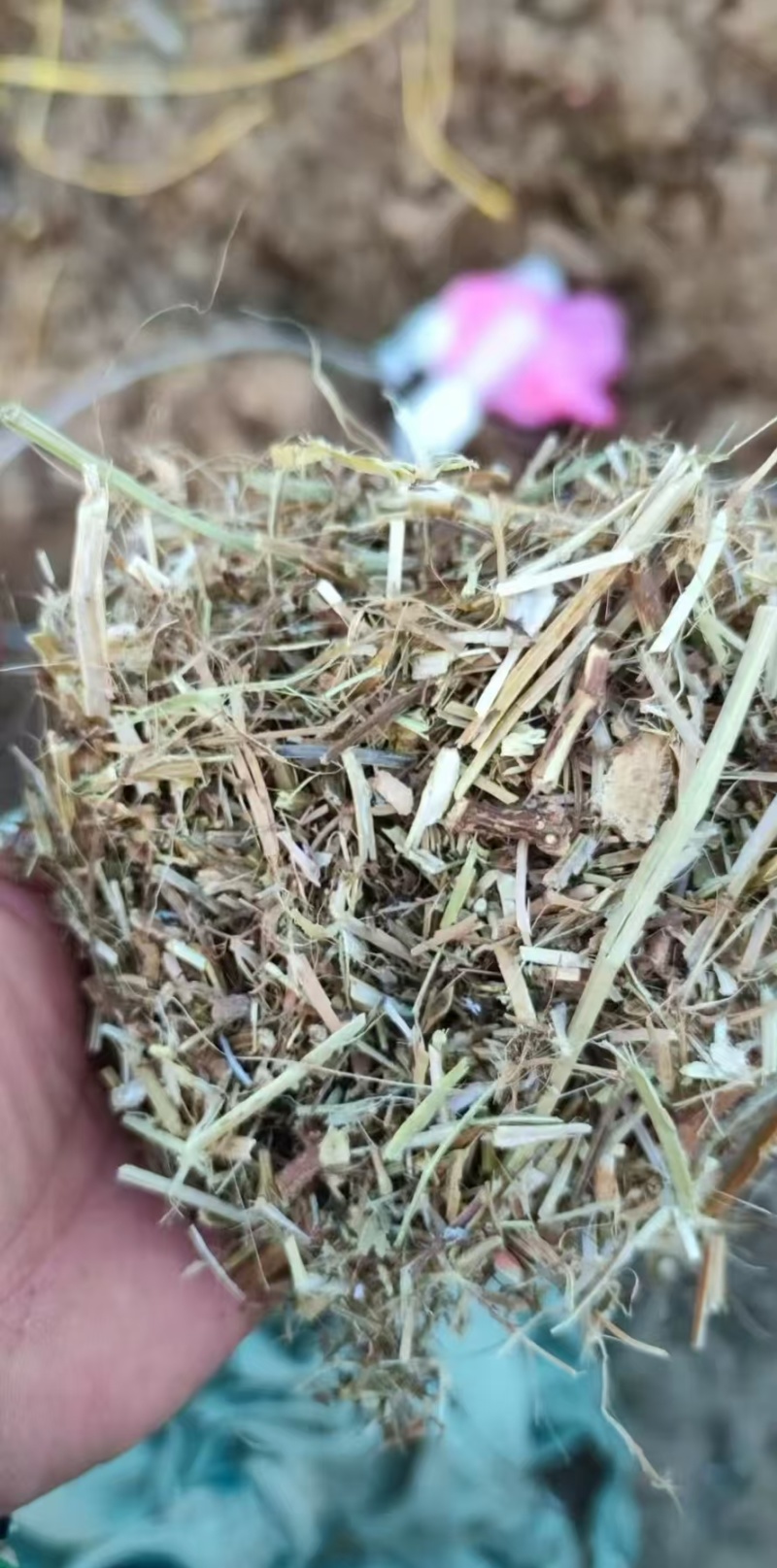 优质花生秧饲养原料