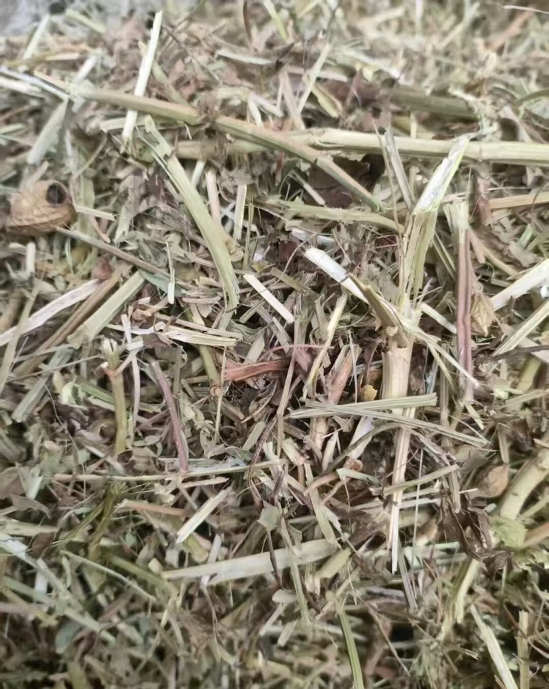 优质花生秧饲养原料