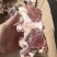 牛尾根满肉仅售9/斤可替代牛脖骨