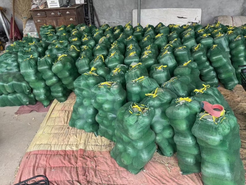 精品水果冬瓜，产地直发，个头均匀，保证品质，直供电商。