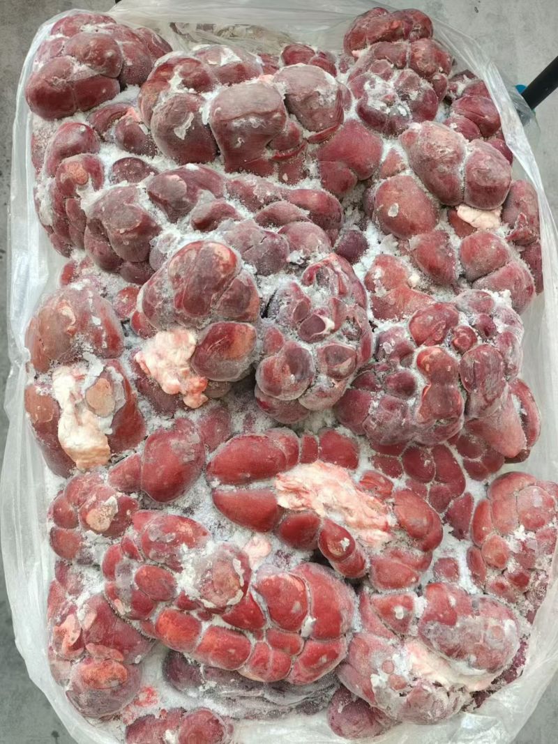 牛腰子