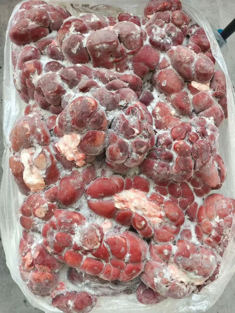 牛腰子