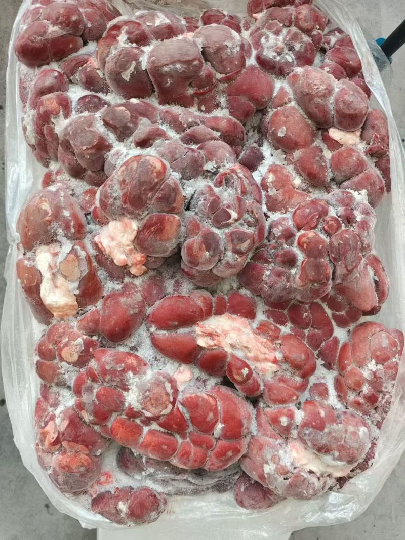 牛腰子
