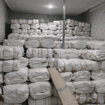 2026新荷叶干荷叶荷叶鸡荷叶粽荷叶饭蒸垫