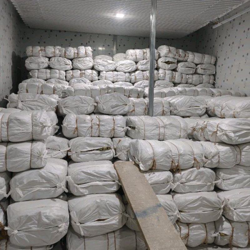 2026新荷叶干荷叶荷叶鸡荷叶粽荷叶饭蒸垫