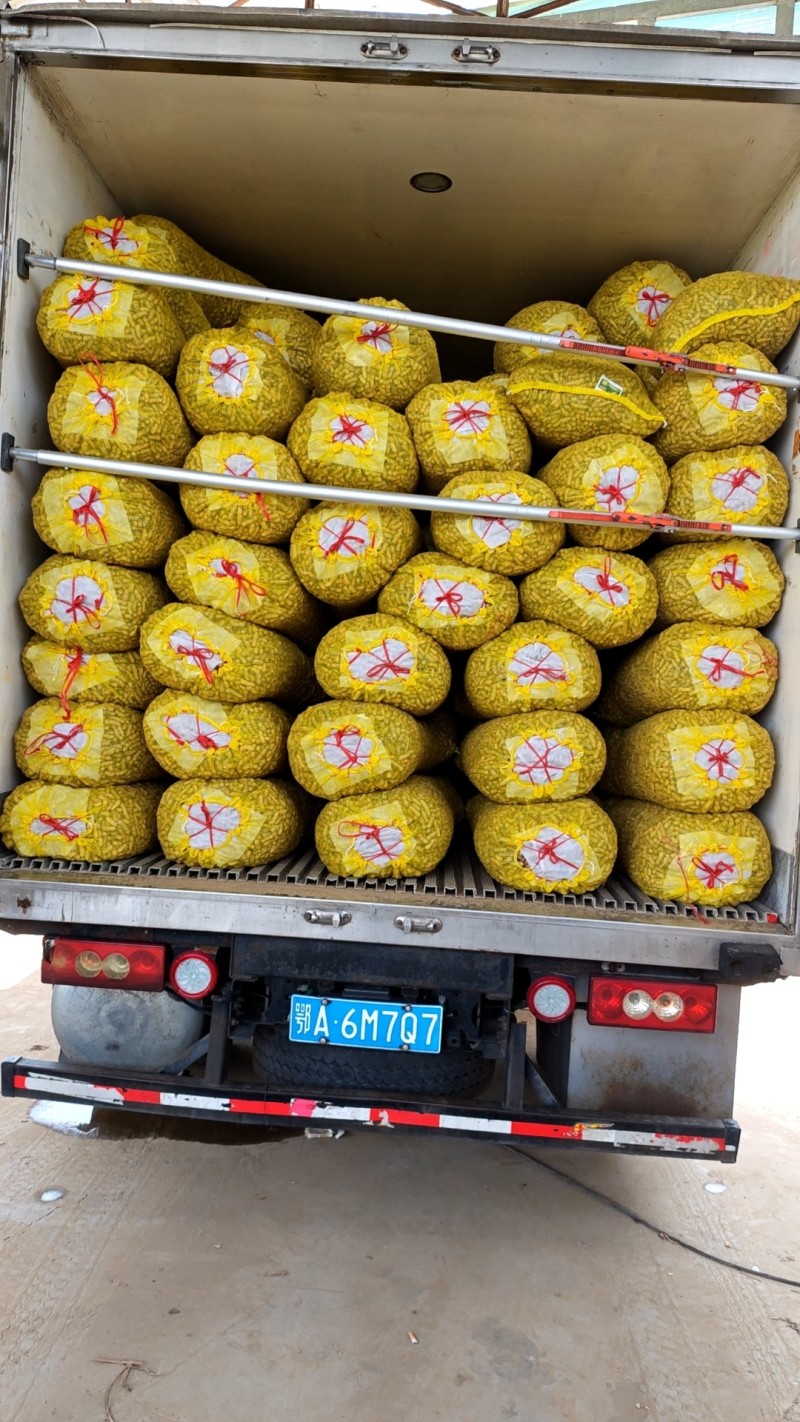 四粒红花生湖北基地直采湿鲜花生果仁饱满口感微甜
