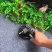 手电钻改角磨机多功能转换切割机变砂光机抛光机家用木工工具