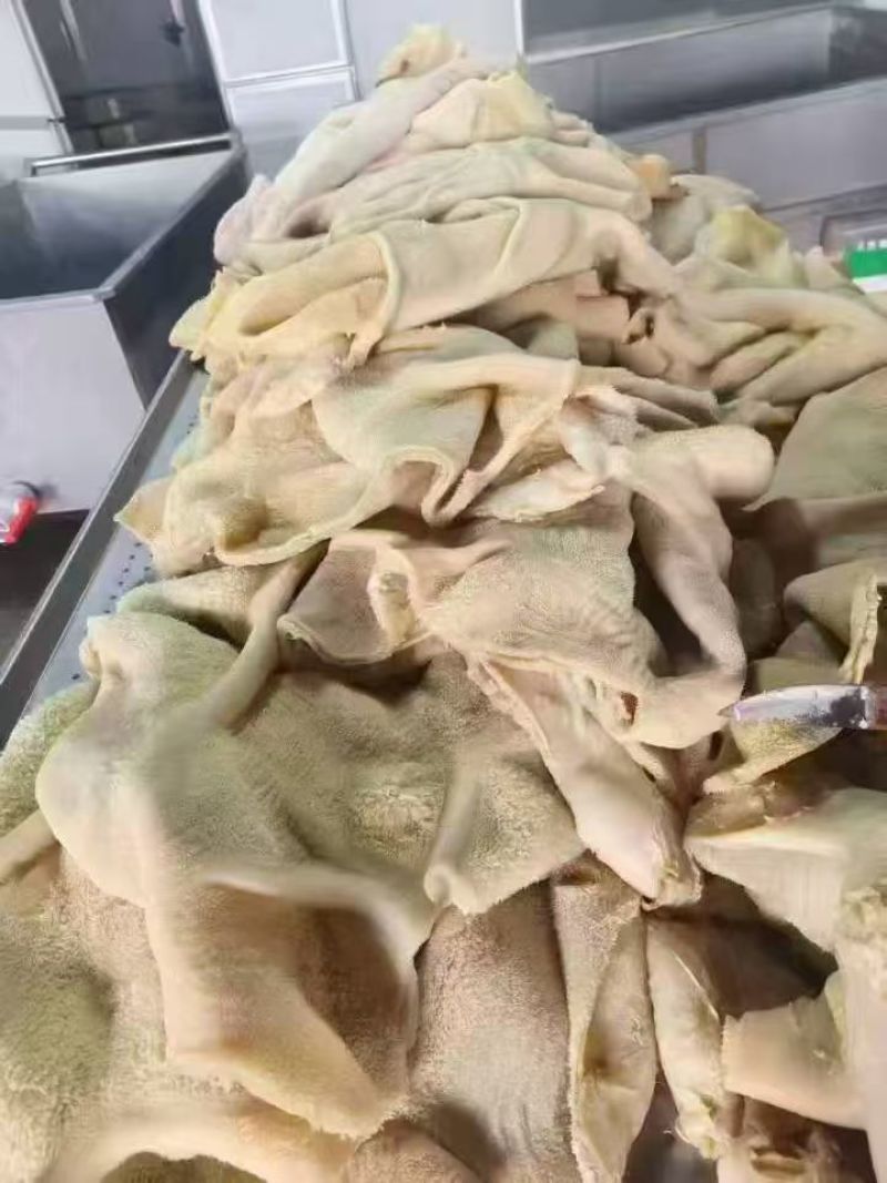 熟牛肚