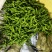 大量螺丝椒现货。