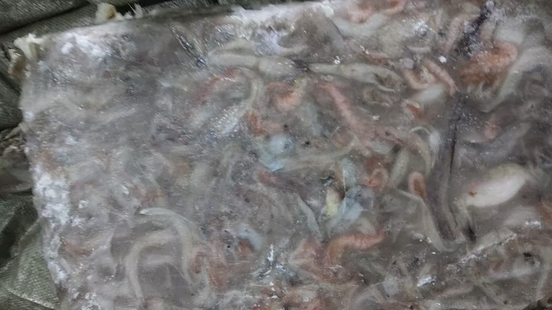 龙头杂25吨左右
