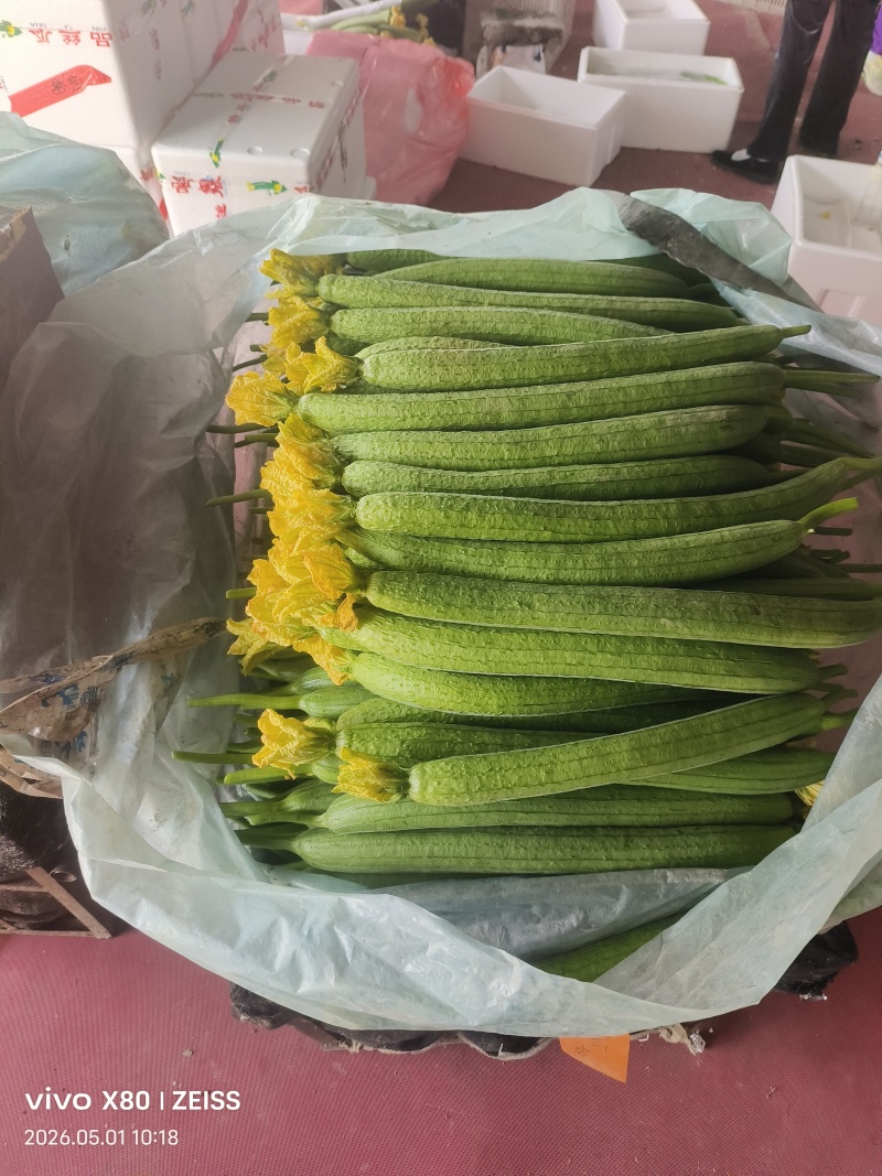 鲜花丝瓜