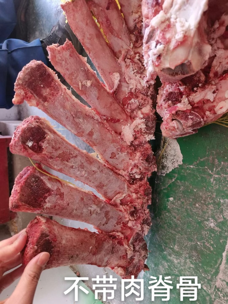 不带肉脊骨，工厂直发。国产好货源。