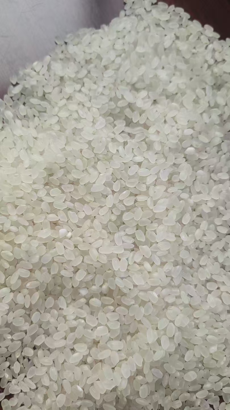 珍珠米