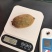 现摘猕猴桃一件代发多规格直播社区团购供货