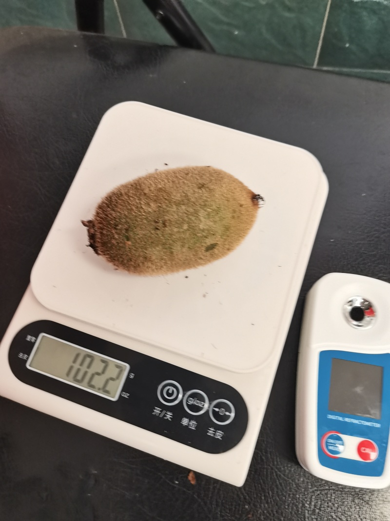 现摘猕猴桃一件代发多规格直播社区团购供货