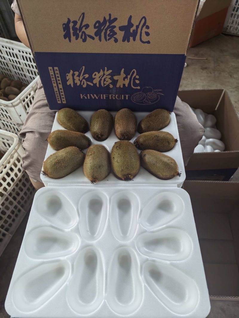 现摘猕猴桃一件代发多规格直播社区团购供货