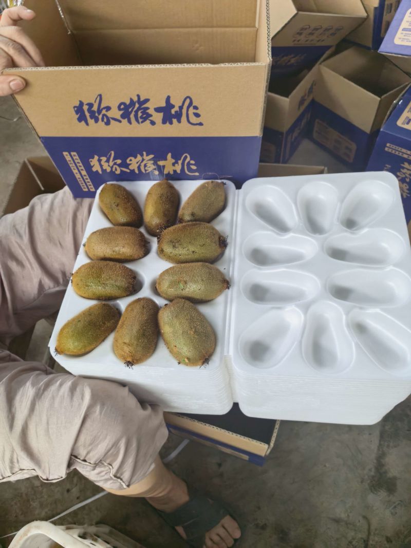 现摘猕猴桃一件代发多规格直播社区团购供货