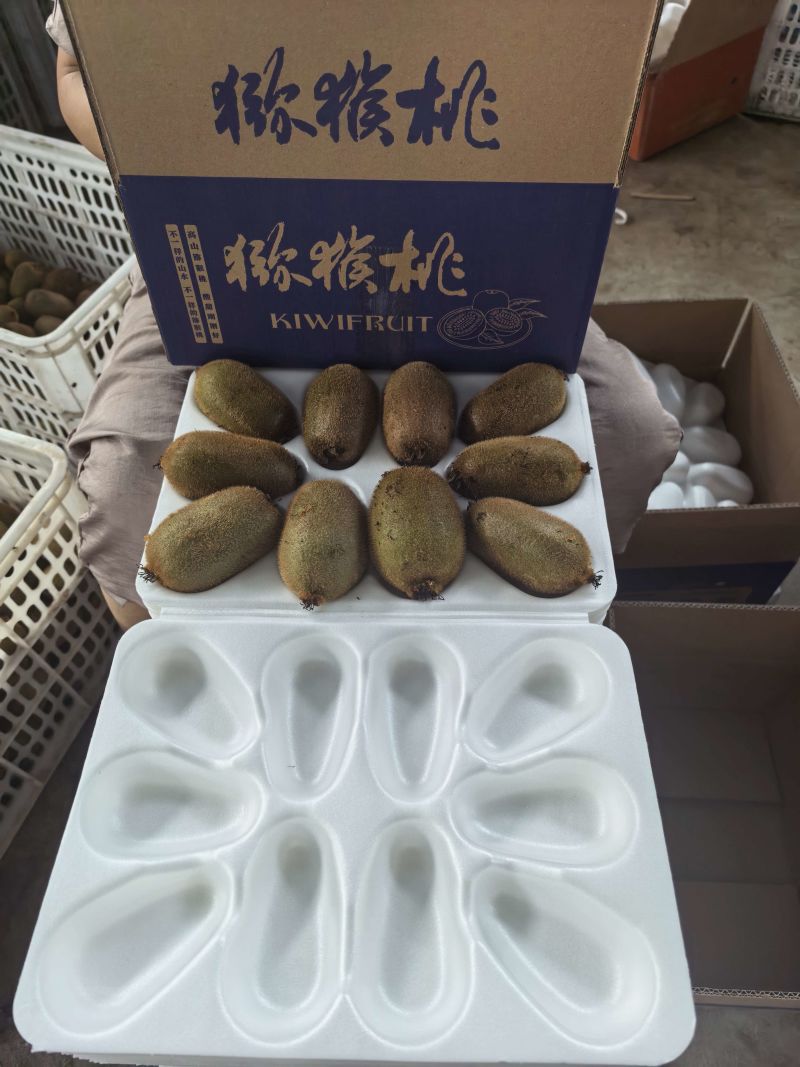 现摘猕猴桃一件代发多规格直播社区团购供货