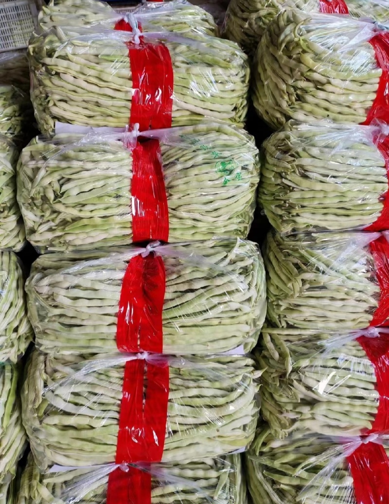 白不老，芸豆大量上市，产地一手货源量大优惠，欢迎合作