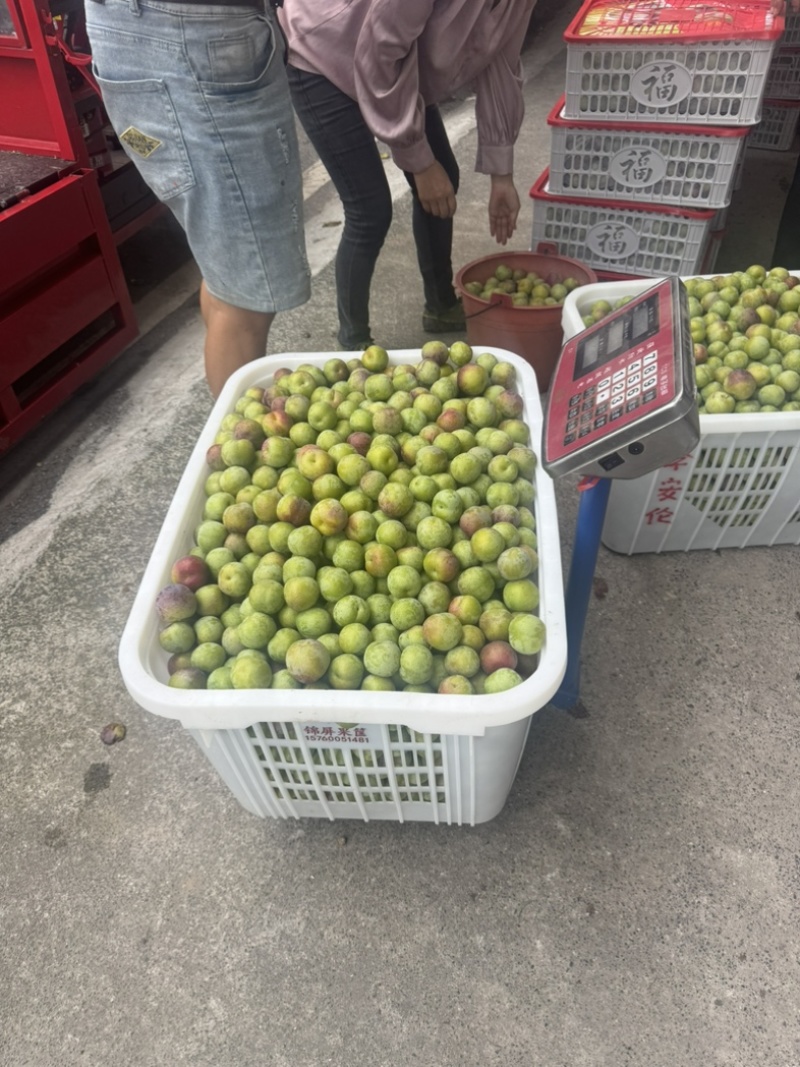 半边红