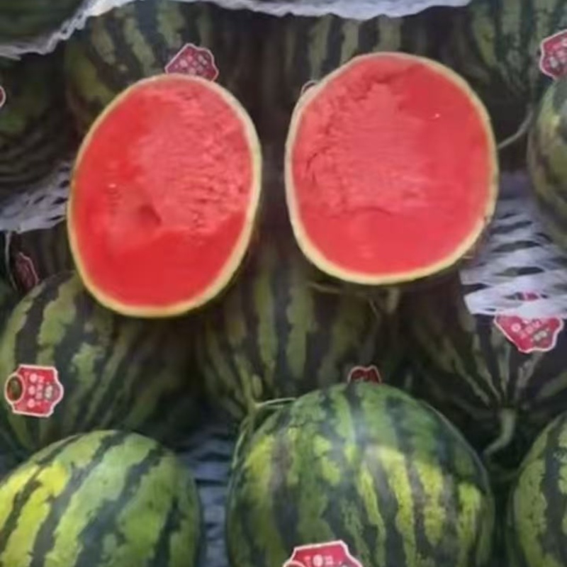 无籽甜王西瓜产地直发大量上市对接全国欢迎采购