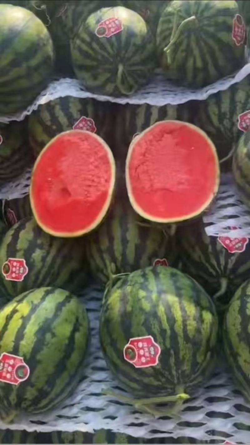 无籽甜王西瓜产地直发大量上市对接全国欢迎采购
