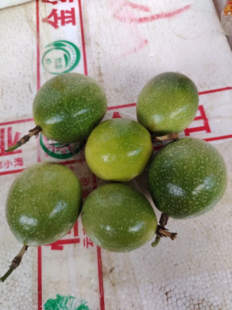 钦密九号黄金百香果，大量现货电商货市场货规格齐全