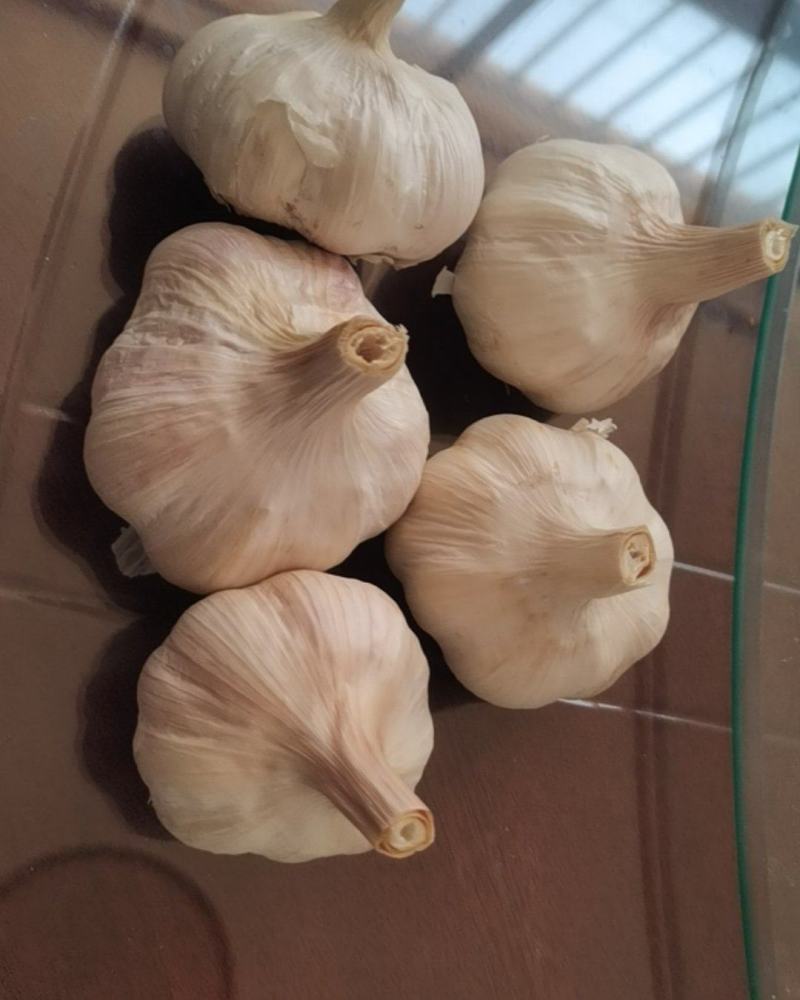 大蒜