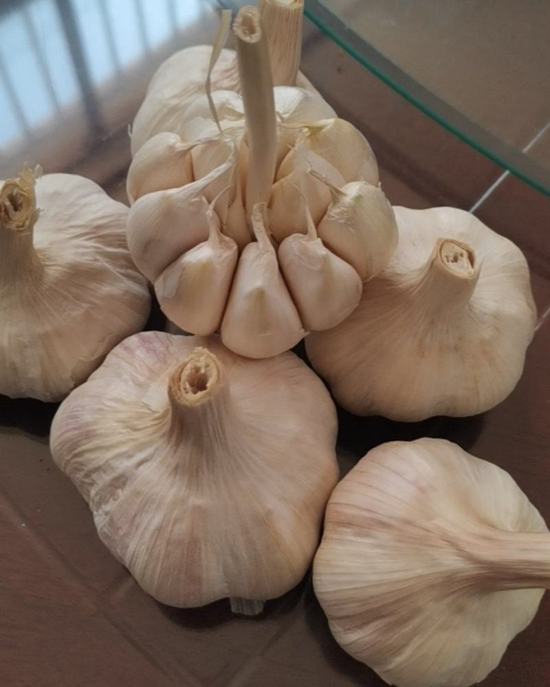 大蒜