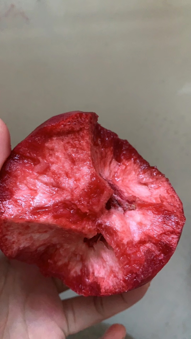 晚熟朱砂桃