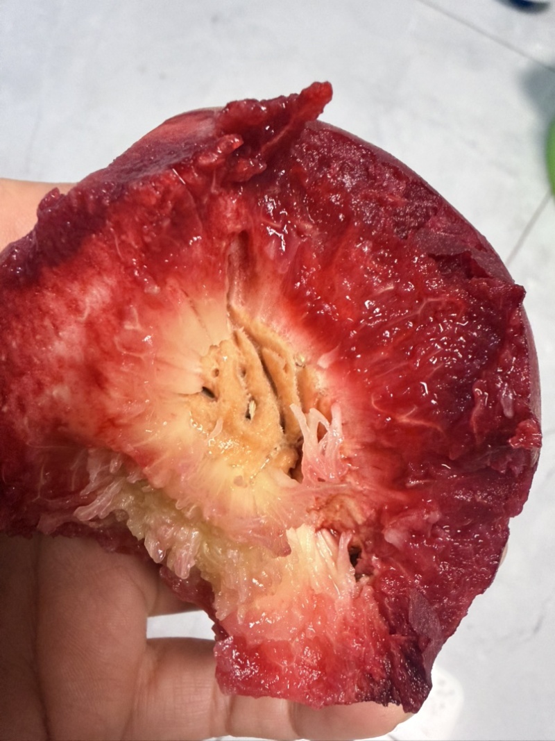 晚熟朱砂桃