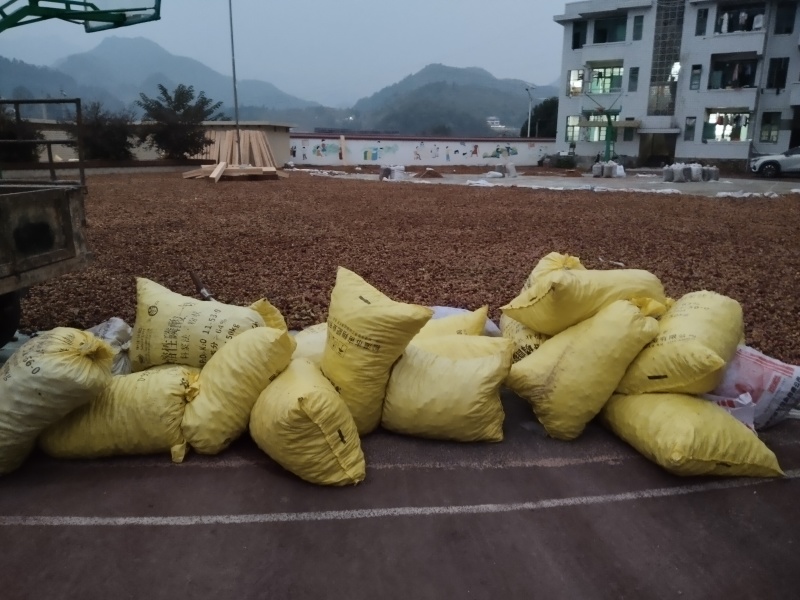 自有基地加工销售批量价格优惠支持1件500毫升代发
