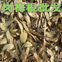 中药材岗梅根新货无硫中药材500克