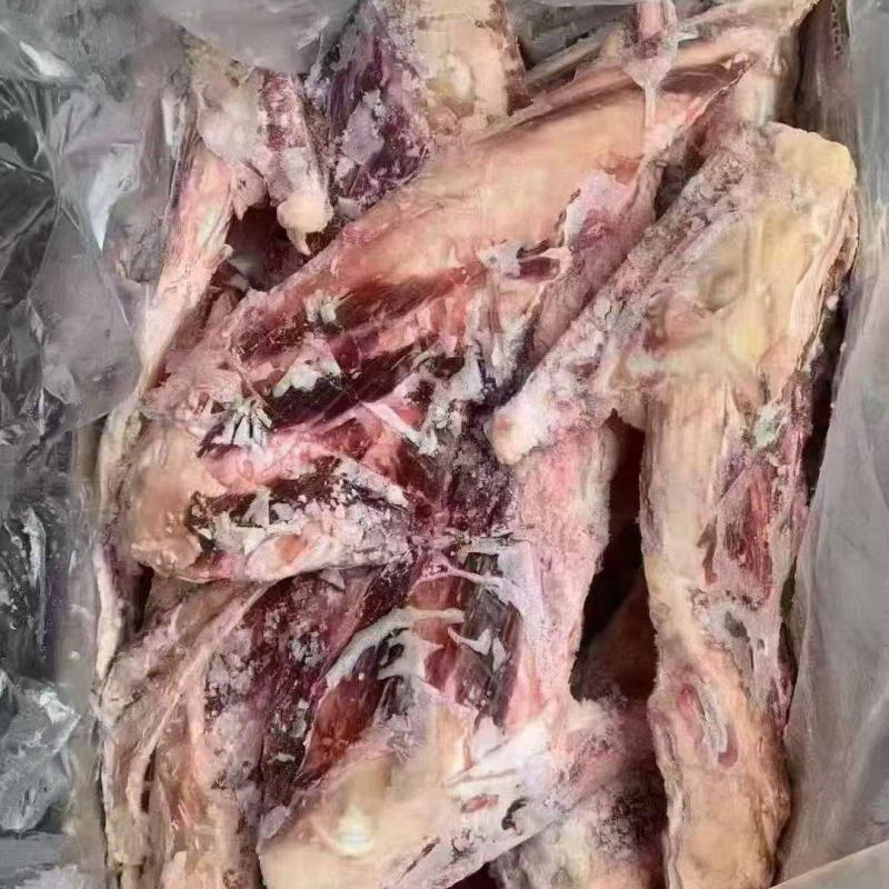 牛燕翅骨