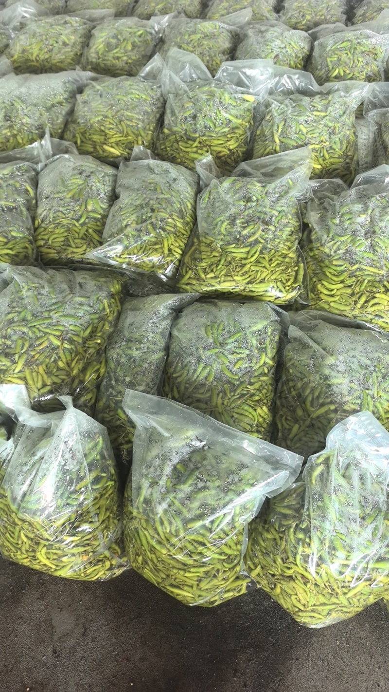 鲜包泡椒