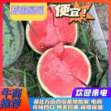 【特价推荐】湖北西瓜美都西瓜基地发货一手货源价格实惠